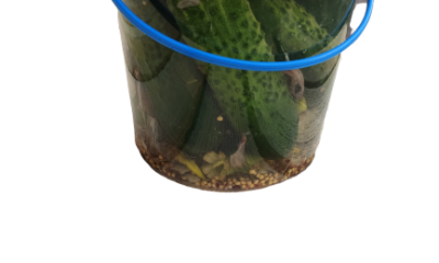 IMG_20200330_071147-removebg-preview IMG_20200330_071147-removebg-preview